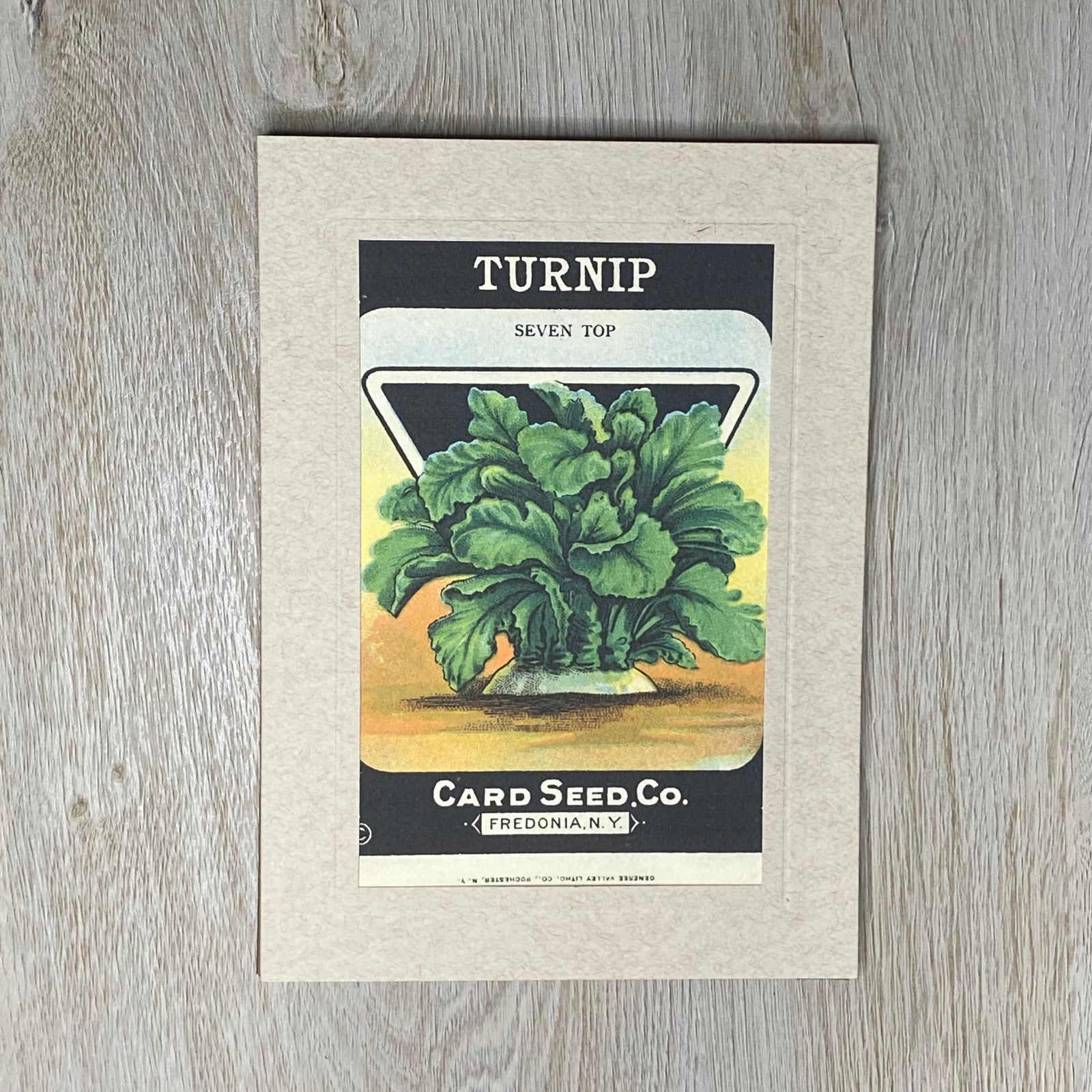 Turnip-Greetings from the Past-Plymouth Cards