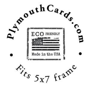 Watershed Wildlife set #1-Greeting Card-Plymouth Cards