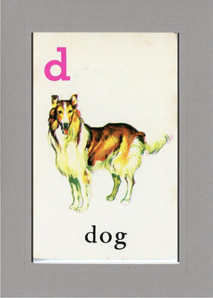 D is for Dog-Alphabet Soup-Plymouth Cards