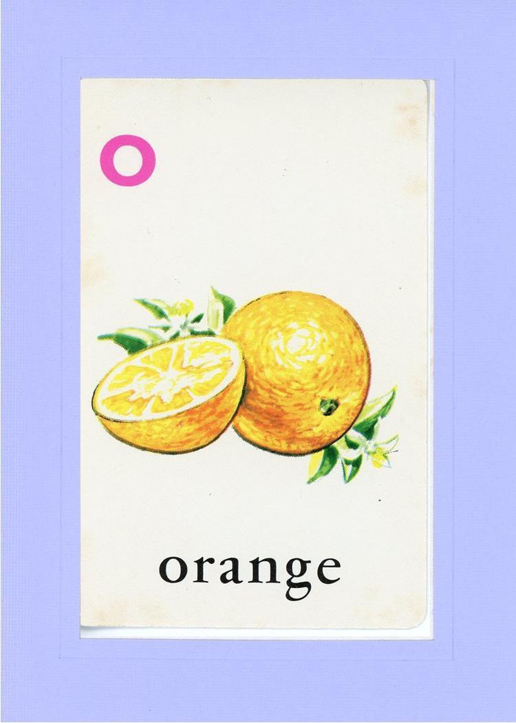 O is for Orange-Alphabet Soup-Plymouth Cards