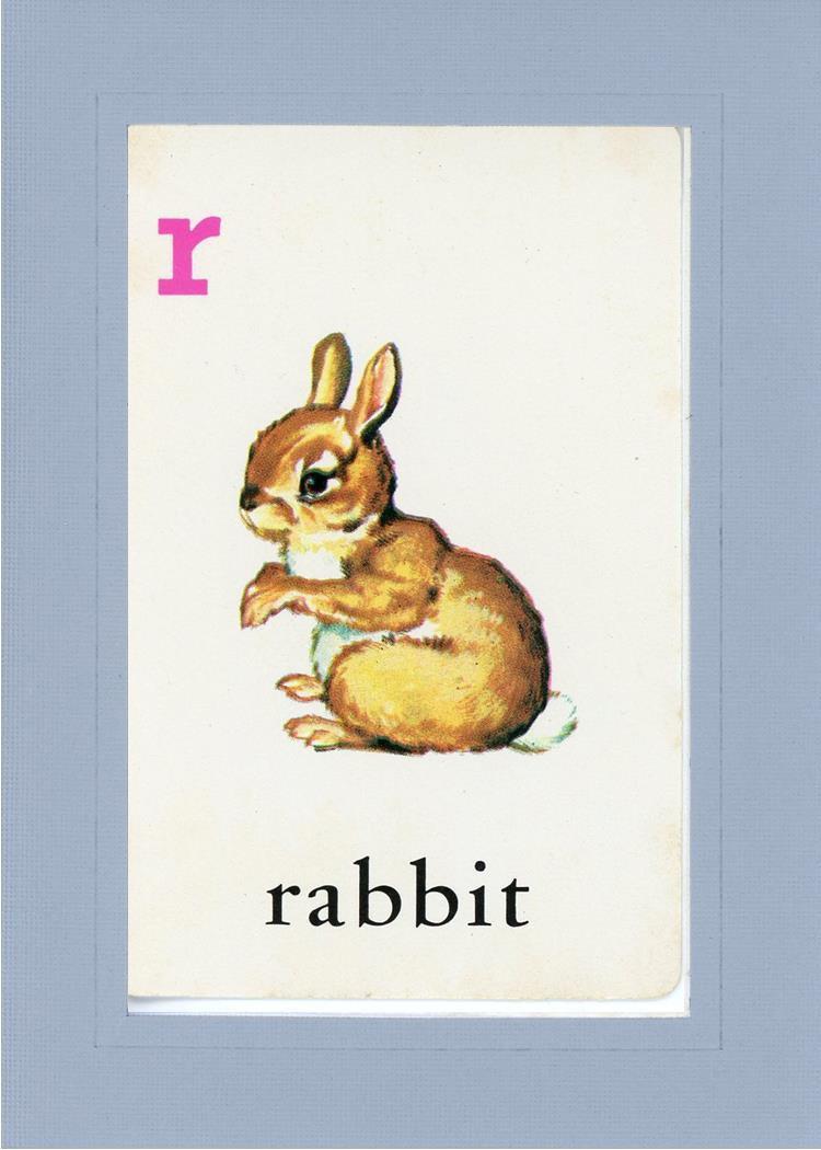 R is for Rabbit - Plymouth Cards