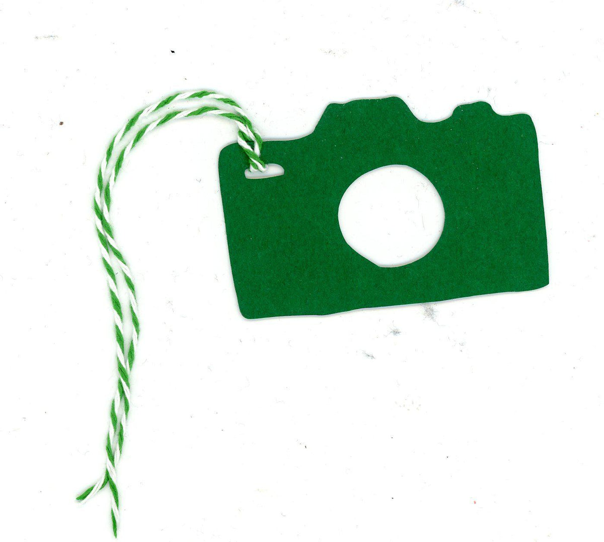 Camera-Gift Tags-Plymouth Cards