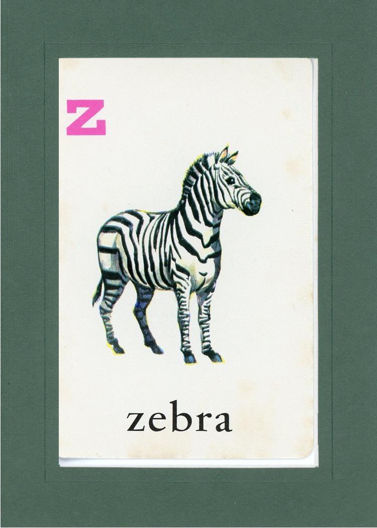 アルファベットの紙絵 Z is for Zebra - Plymouth Cards
