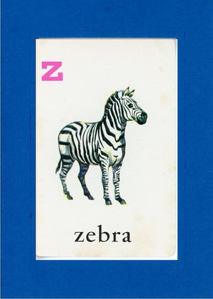 Z is for Zebra-Alphabet Soup-Plymouth Cards