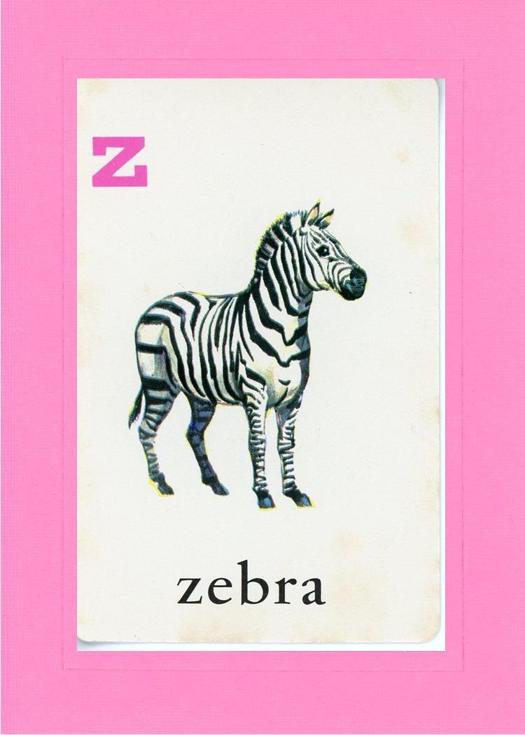 Z is for Zebra-Alphabet Soup-Plymouth Cards